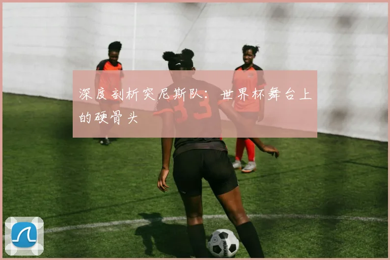 深度剖析突尼斯队:世界杯舞台上的硬骨头