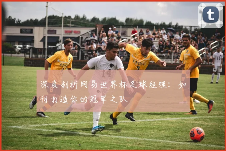 深度剖析网易世界杯足球经理:如何打造你的冠军之队