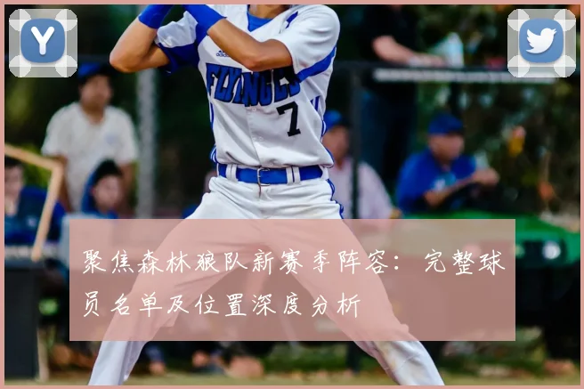 聚焦森林狼队新赛季阵容：完整球员名单及位置深度分析