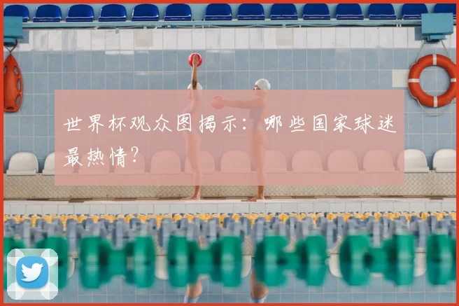 世界杯观众图揭示:哪些国家球迷最热情?
