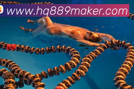 世界杯在线无插件直播平台生态图